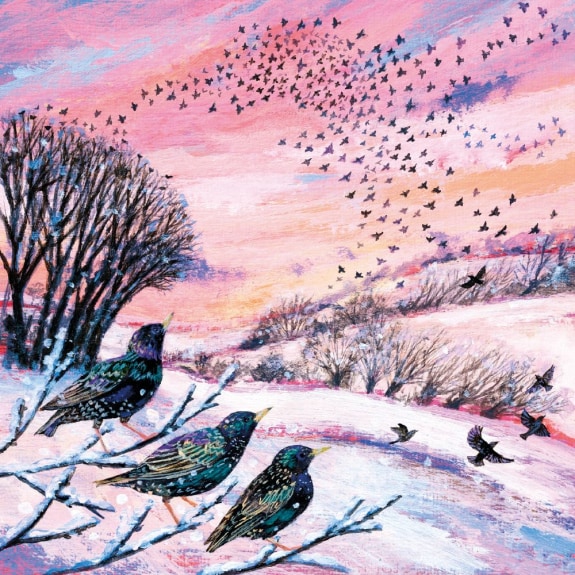 'Winter Murmurations' by Lucy Grossmith (5 pack)  (VX19) g2 (larger square format) 160mm x 160mm (message inside)   NEW Coming Soon