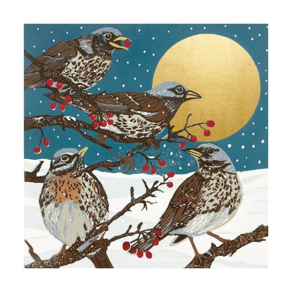 'Winter Visitors' by Sue Welfare (8 pack) (VX) (message inside)  NEW Coming Soon