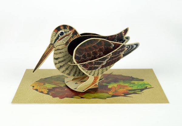 'Pop-Out Woodcock' Die-cut art card by Alice Melvin 