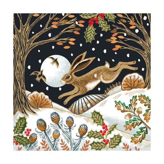 'Woodland Hare' by Deva Evans (8 pack) (xmg120) NEW (message inside)