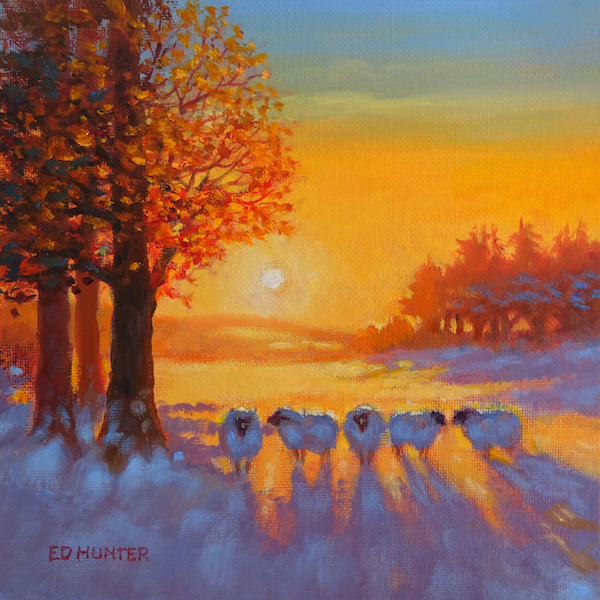 'Warm Winter Sun' by Ed Hunter (6 pack) (xsa30) d 25% off listed price