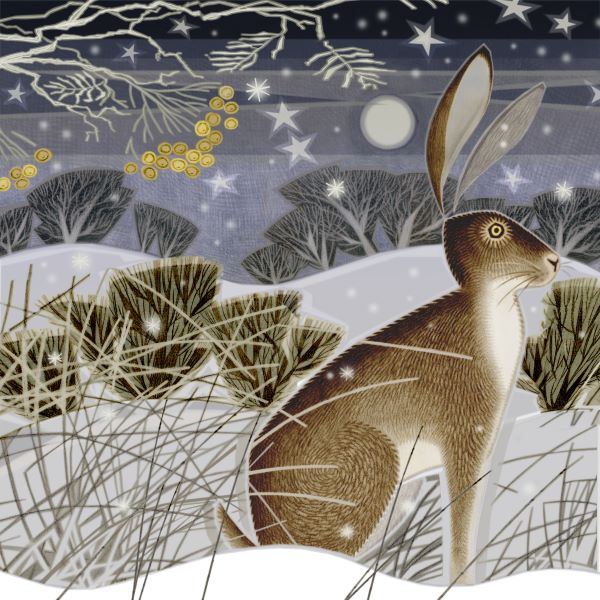 'Just Thinking' by Jenny Tylden-Wright (6 pack) (HX24) NEW