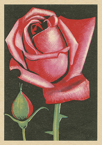'Red, Red Rose' Vintage Matchbox (VALENTINE'S DAY) (0V06)