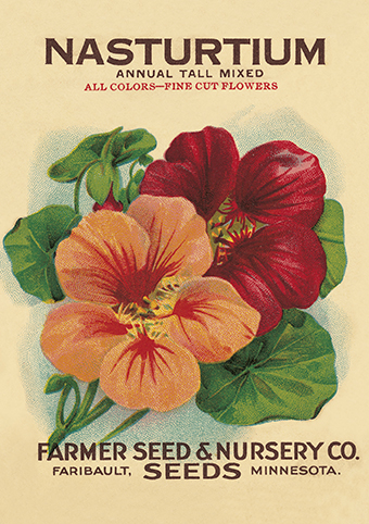 'Nasturtium' from the vintage Seed Packet 'Myrtles's Garden' collection  (C521) *
