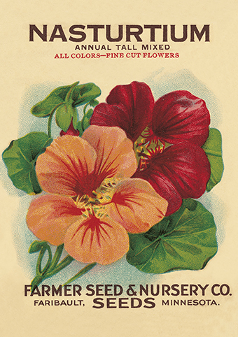 'Nasturtium' from the vintage Seed Packet 'Myrtles's Garden' collection  (C521) d