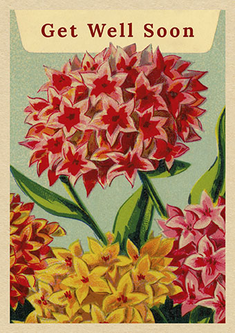 'Healing Touch' by Vintage Matchbox (O093) GET WELL SOON