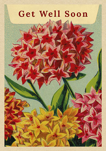 'Healing Touch' by Vintage Matchbox (O093d) GET WELL SOON Was 3.15, now 2.25