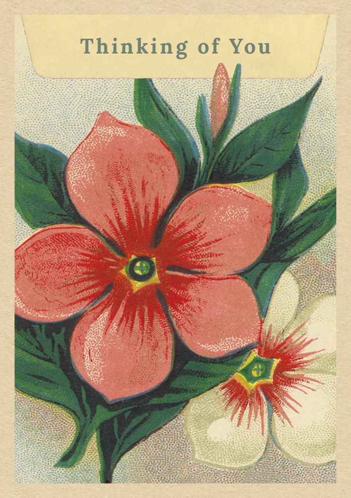 'Periwinkle' by Vintage Matchbox (O096d) THINKING OF YOU Was 3.15, now 2.25