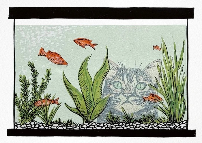 'Focus' by Zoe Buffery (C075) NEW