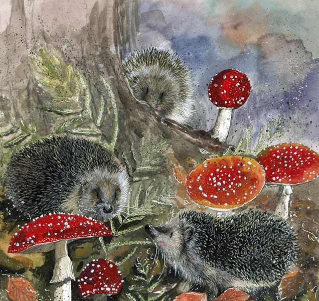 'Hedgehogs' by Alex Clark (E180) d