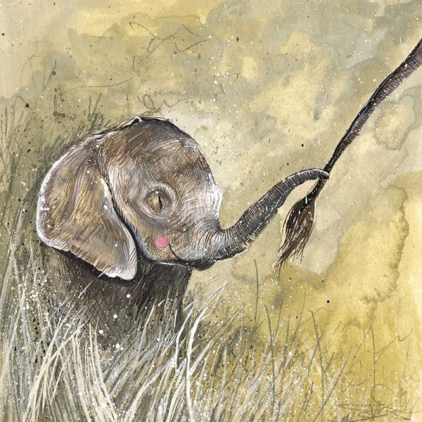 'Baby Elephant' by Alex Clark (E186) d