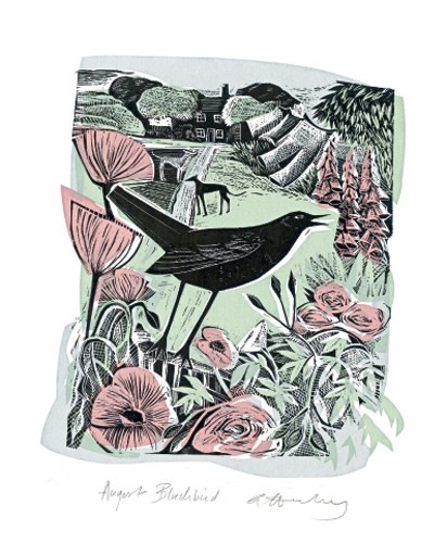 'August Blackbird' by Angela Harding (A085) (AH1390)