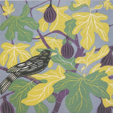 'Blackbird and Figs' by Cathy King (B268)