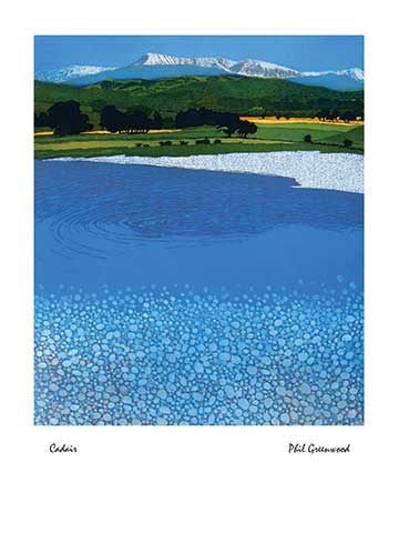 'Cadair' by Phil Greenwood (J003) NEW