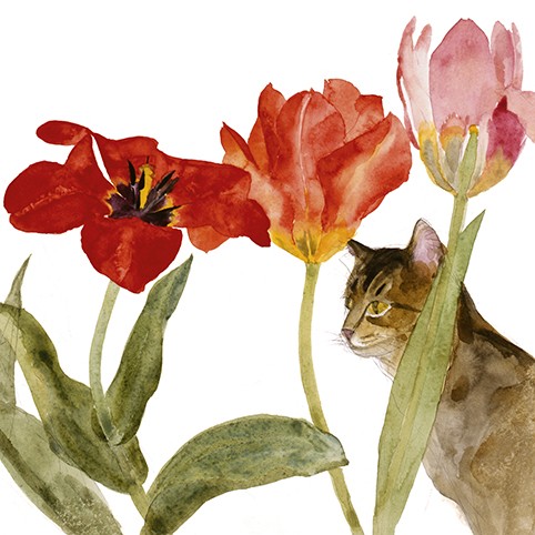'Cat Amongst Tulips' by Elizabeth Blackadder RA (C011) * 
