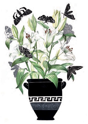 'Lilies and Moths' by Celia Lewis (B520) *