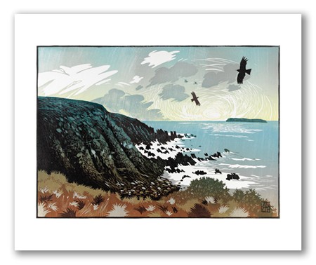 'Choughs Circle in the Evening Light' by Ian Phillips (T017) 