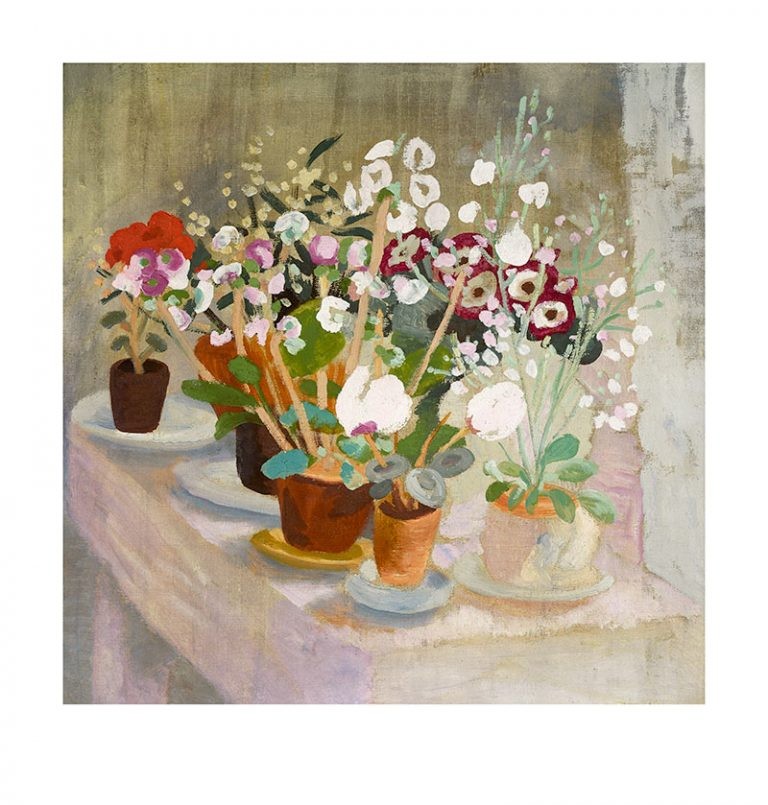 'Cineraria and Cyclamen' by Winifred Nicholson (Print)