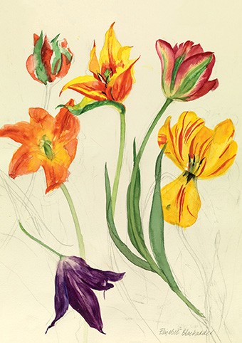 'Tulips' by Elizabeth Blackadder RA (C235) *