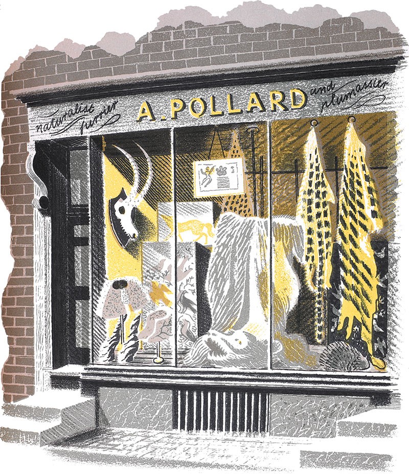 'Naturalist' by Eric Ravilious (Mounted Print)