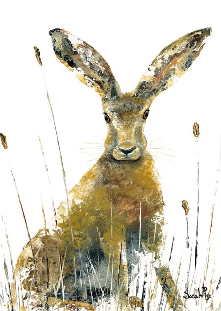 'All Ears' by Sarah Pye (R326)