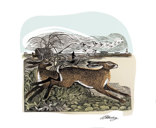 'Hares at Orford Ness' by Angela Harding (A545) *