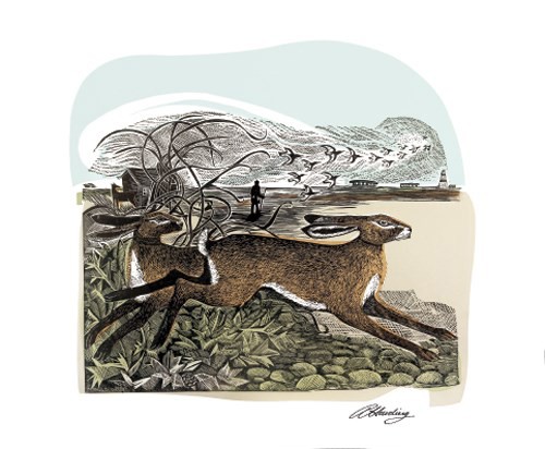 'Hares at Orford Ness' by Angela Harding (A545) (AH1658)