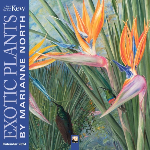 Kew Gardens - Exotic Plants Wall Calendar 2024 by Marianne North (CAL21) Click image for calendar details 