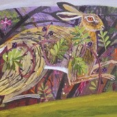 Wildlife - Hares & Rabbits