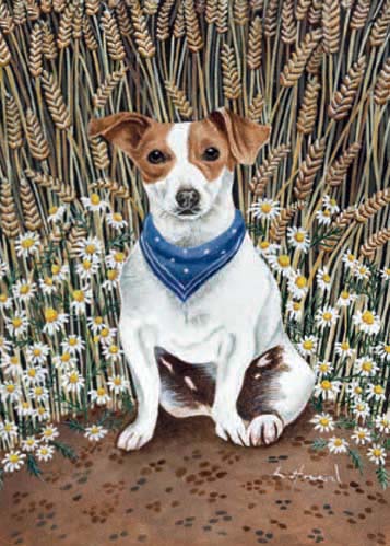 'Little Jack' by Lucy Almey Bird (B023)