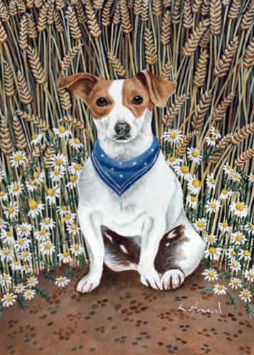 'Little Jack' by Lucy Howard (B023)