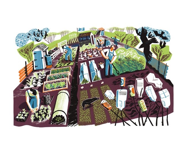 'May Day Allotment' by Clare Curtis (A752) * 