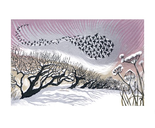 'Midwinter Starlings' by Niki Bowers (A044w)