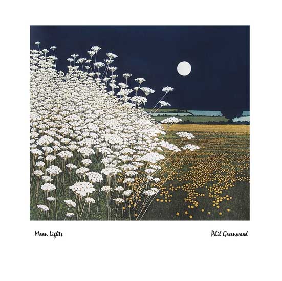 'Moon Lights' by Phil Greenwood (J002) NEW
