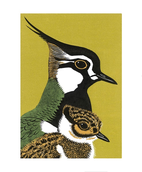 'Peewit & Son' by Robert Gillmor (A949) 