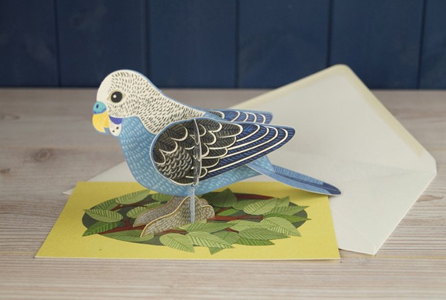 'Pop-Out Budgie' Die-cut art card by Alice Melvin