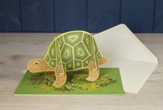 'Pop-Out Tortoise' Die-cut art card by Alice Melvin *