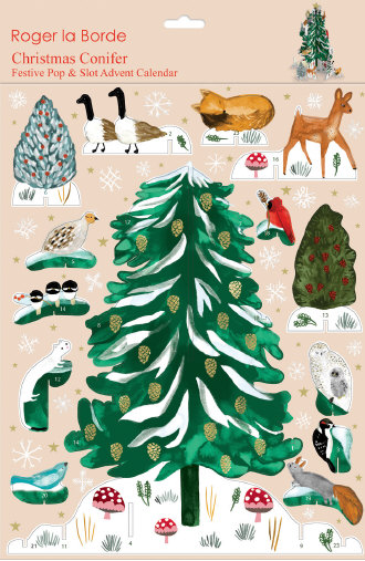 Christmas Conifer Advent Calendar 