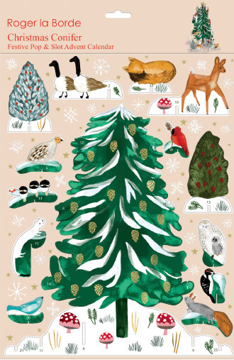 Christmas Conifer Advent Calendar