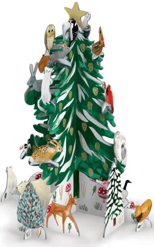 Christmas Conifer Advent Calendar