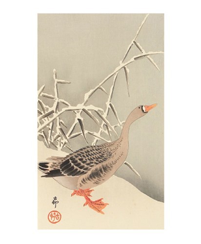 'Snow Goose' by Ohara Koson (A520w) 