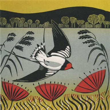 'Swooping Swallow' by Cathy King (B041) d