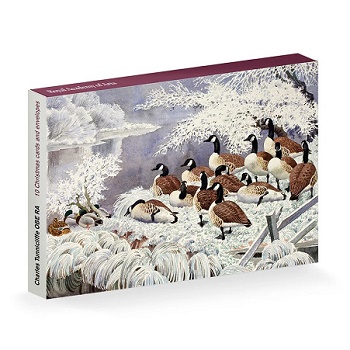 Royal Academy & Courtauld Gallery Christmas (Box Sets)