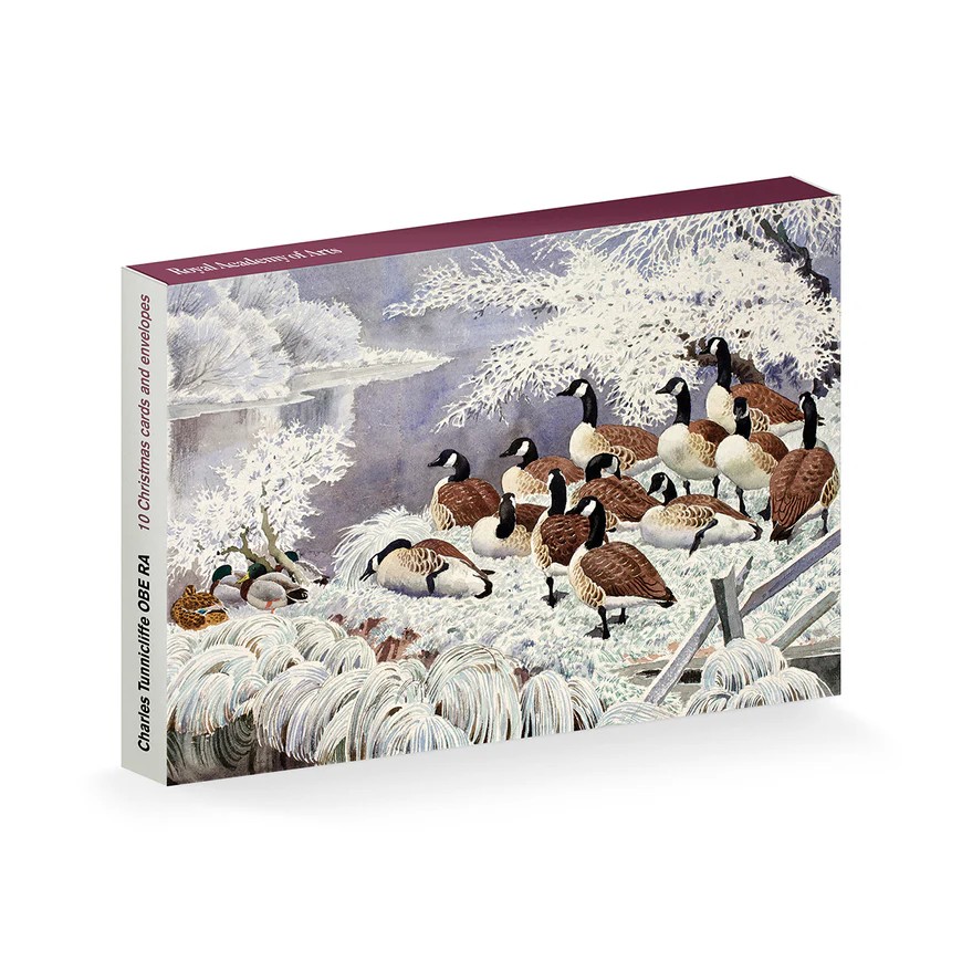 Charles Tunnicliffe OBE RA 'Hoar Frost on Mere Side' (CX04) g2 (10 card wallet) NEW 