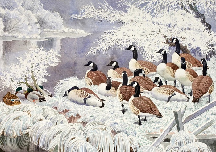 Charles Tunnicliffe OBE RA 'Hoar Frost on Mere Side' (CX04) g2 (10 card wallet) NEW 