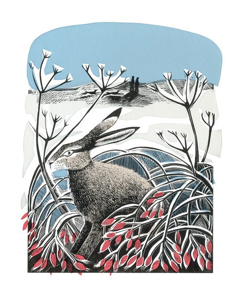 'Winter Hare' by Angela Harding (A614w)