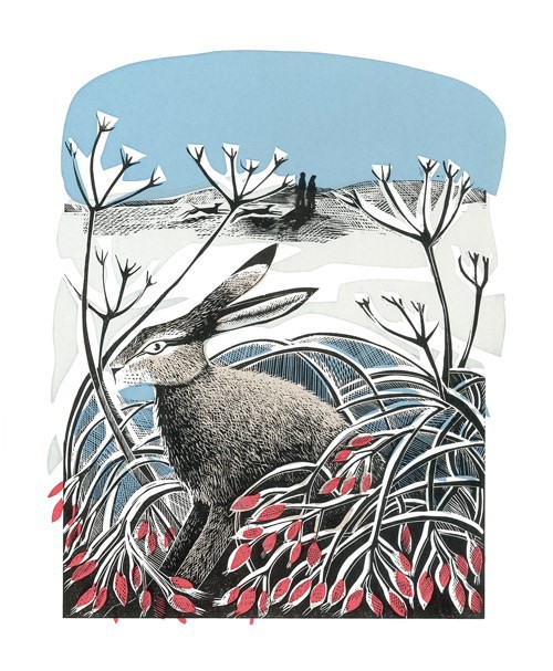 'Winter Hare' by Angela Harding (A614w) (AH1726x)