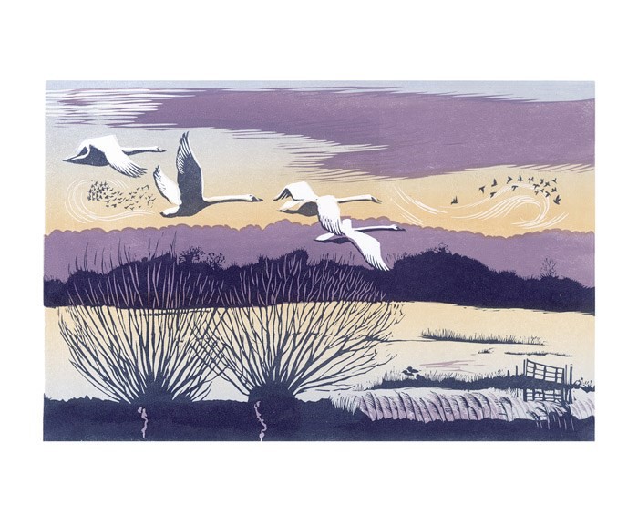 'Winter Swans' by Niki Bowers (A620w) 