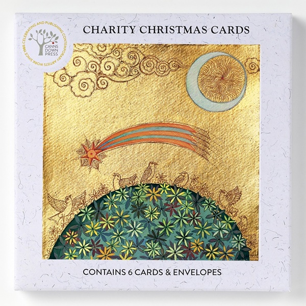 'Shooting Star' by Linda Edwards NEW (6 card pack) (BX15) g2 Christmas Coming Soon