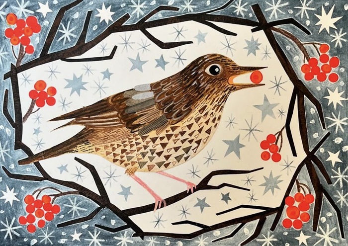 'Song Thrush with Berries' by Amy Husband NEW (6 card pack) (BX10) g2 Christmas Coming Soon